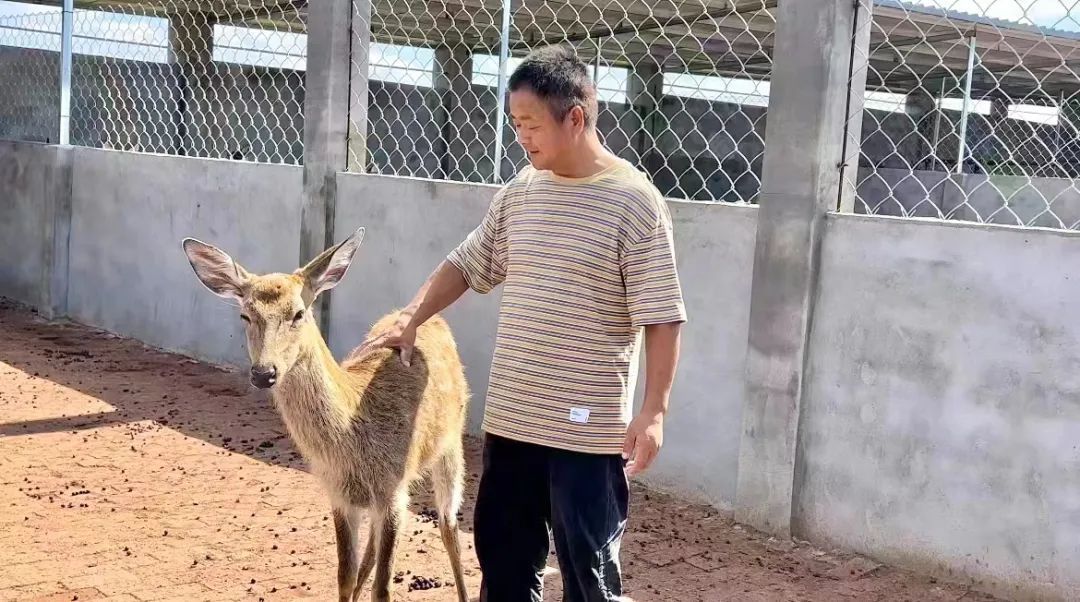 mg游戏登陆平台